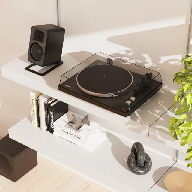 📀 Le vinyle mérite mieux qu'une valise en plastique.

Pendant que certaines platines d'entrée de gamme se contentent de faire tourner un disque, l'Obi3 Gen 2 a été conçue pour en révéler toute la musique.

 ✔ Plateau en aluminium
 ✔ Feutrine épaisse
 ✔ Cellule Audio-Technica AT3600L préréglée d'usine
 ✔ Bluetooth® 5.3
 ✔ Contrôle électronique de la vitesse
 ✔ Contrôle du pitch
 ✔ Préamplificateur phono intégré et commutable
 ✔ Force d'appui et antiskating réglable
 ✔ Châssis lourd et pieds amortissants anti-vibrations
 ✔ 5 finitions satinées premium

Parce qu'un premier tourne-disque ne devrait pas être quelque chose que l'on remplace six mois plus tard.

Obi3 Gen 2. Une vraie platine. Tout simplement.

#KantoAudio #Obi3 #Vinyl #Turntable #HiFi #NowSpinning